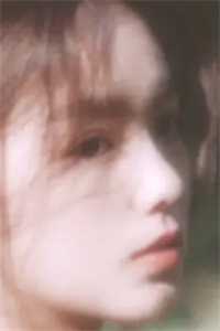 江阳刘美凤小说免费阅读精品全篇