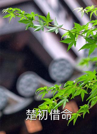 长篇小说阅读楚洛楚恒