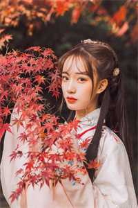 精选小说推荐落魄迷离