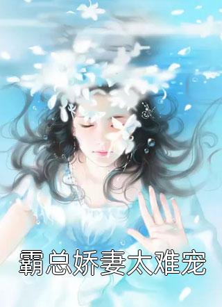 新海贼