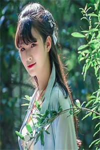落叶相思