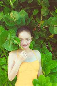 首辅大人的宠妾