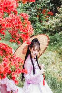 夏识夏散夏遇