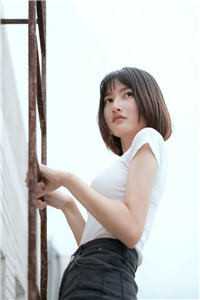 我研发核聚变技术后，震惊全世界