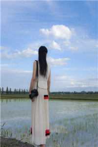 闪婚替嫁，成为植物人老公掌心娇