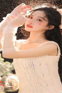 苏云木婉清小说
