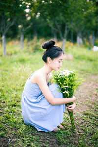 陛下!您家皇贵妃真没想争宠