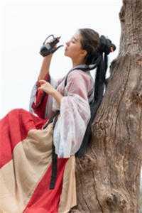 从综武开始:纳就变强