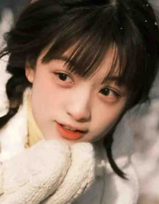 禀告首辅，夫人她又去给你物色美女了