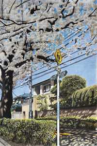 末世：我在安全屋内观看求生游戏