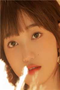 婚期365天