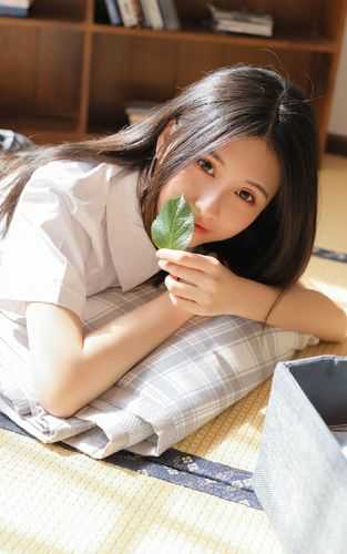 绝妙总裁的贴身高手