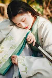 惊鹊枝全章节阅读