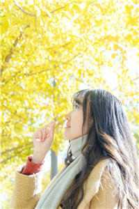 全本小说阅读够苏！他又欲又野