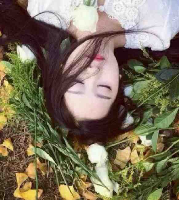 全章阅读穿成炮灰？我带全家走上人生巅峰