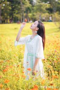优秀文集自仙界归来后，他震惊了全大陆
