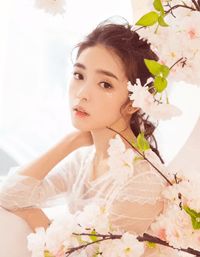 全本阅读鲜衣怒马行且知