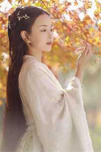 斗罗：宁夫人今天也在开挂宠夫畅读全文