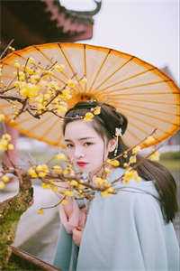 正在调查中精选全文