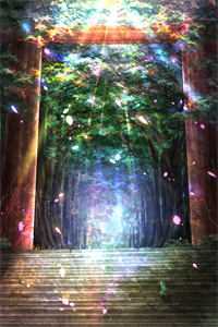 劫天运全章节阅读