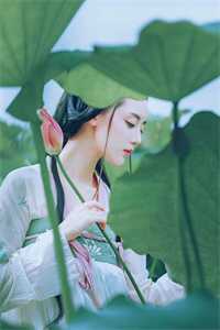 全集阅读改嫁疯批太子，清冷美人她艳翻东宫
