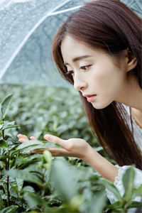 小马宝莉:我是满级小马