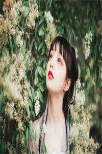 请叫我灰无常