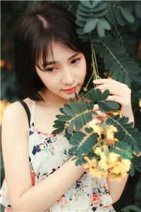 崩坏三：从黄昏街开始的修女养成