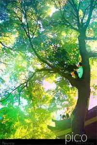 完整章节阅读白莲嫡姐害我满门陪葬