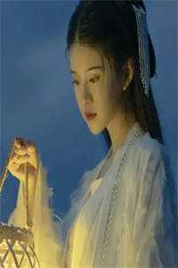 畅销巨作重回择婿那天,我诞下极品孔雀蛋六公主：嘉禾