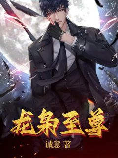 美人政道版