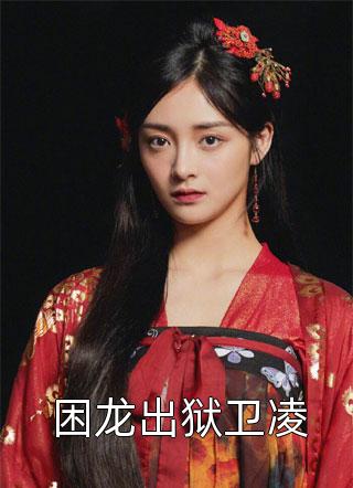 老婆给秘书买了座岛全文完结