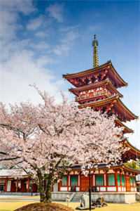 爱意归山川全章阅读