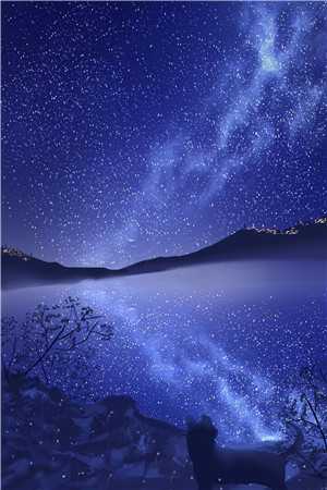 晚景无星热门小说陈晚林闻景