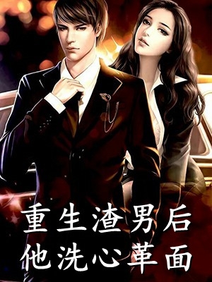 迟冬不赴春小说安以夏盛司聿完结版