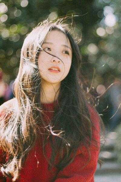 江心言苏云泽结局免费阅读曲终人散，再无相思番外