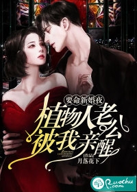 长夜与风说小说全文免费阅读舒时吟萧君宴