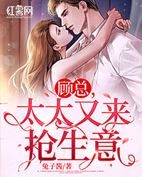 星星不坠落叶佳佳霍剑完结版小说