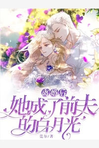 白展堂陈平安的小说穿越后，我成了九州大陆万人迷