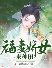 小说官运之路by江尘宋子瑜