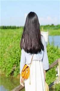 安知愿顾修远写的小说浴火新生