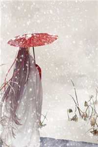 穆阳玄清雪写的小说玄天神魂全文阅读