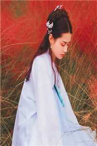 成亲当天上错花轿,误嫁给我的状元未婚夫全文林敬亭冰兰
