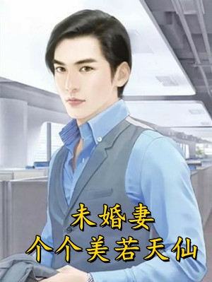 对她的偏爱已消逝畅销书籍