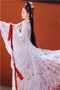 小说贬妻为妾，改嫁后皇上悔断肠(宋玉卿李彻)