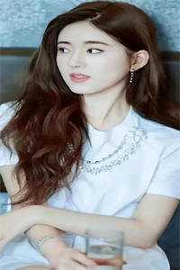 沈琛周婉婉写的小说高攀不起的金丝雀全文阅读