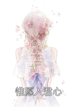 不是妈妈是宋姨，不是妻子是宋姐小泽晏归舟最新章节