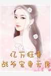 冒牌狂夫热门小说顾风林悦