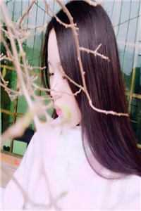 我假死离开后,他崩溃了全集小说推荐
