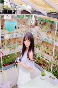 都市之盖世天医顾辰李敏